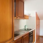 House Koloc ボル
