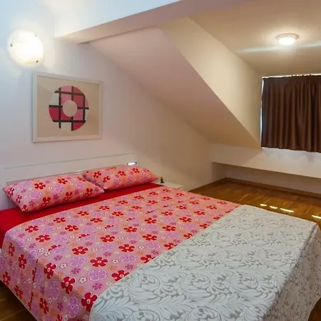 House Koloc * ボル