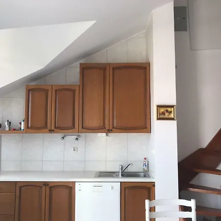 House Koloc * ボル